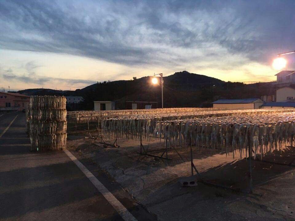 Tobang Red Clay Pension Pohang Dış mekan fotoğraf